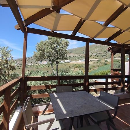 איה גליני Alexena Apartments מראה חיצוני תמונה