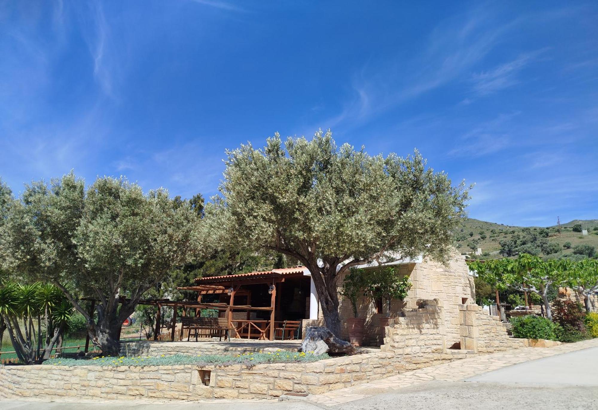 איה גליני Alexena Apartments מראה חיצוני תמונה