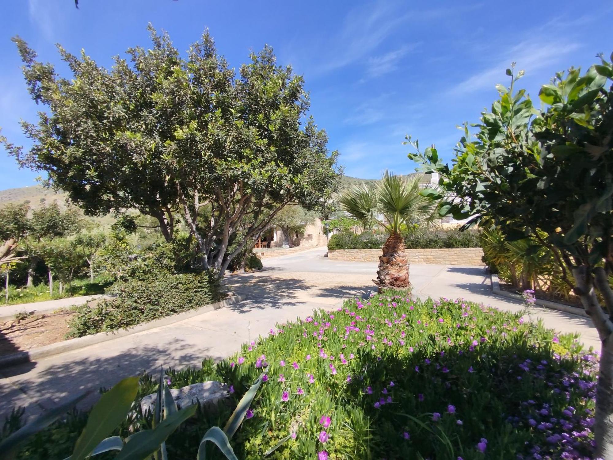 איה גליני Alexena Apartments מראה חיצוני תמונה