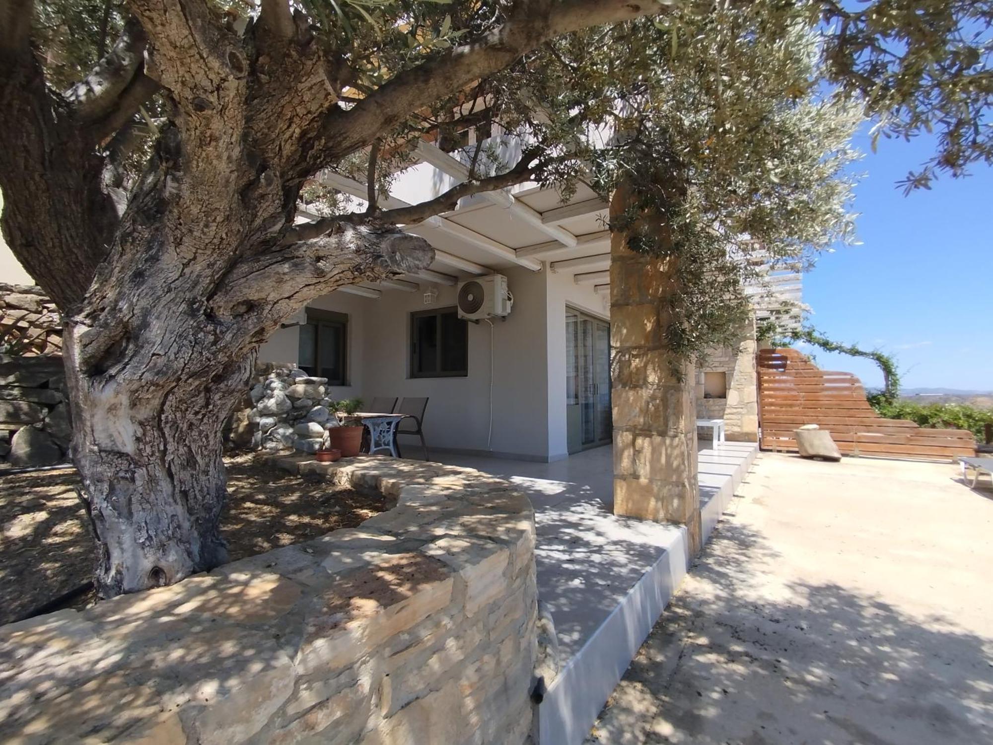 איה גליני Alexena Apartments מראה חיצוני תמונה